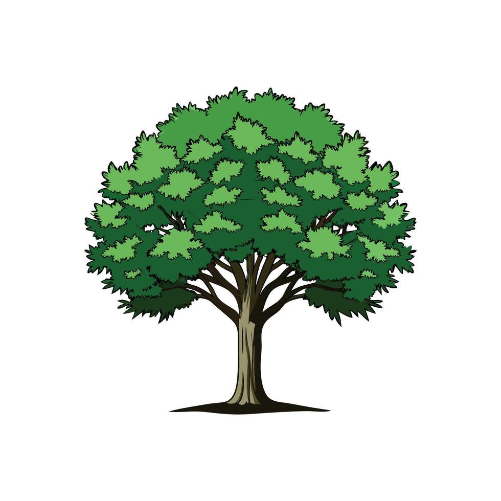 Distinct Whitebeam Tree Outline Art vector