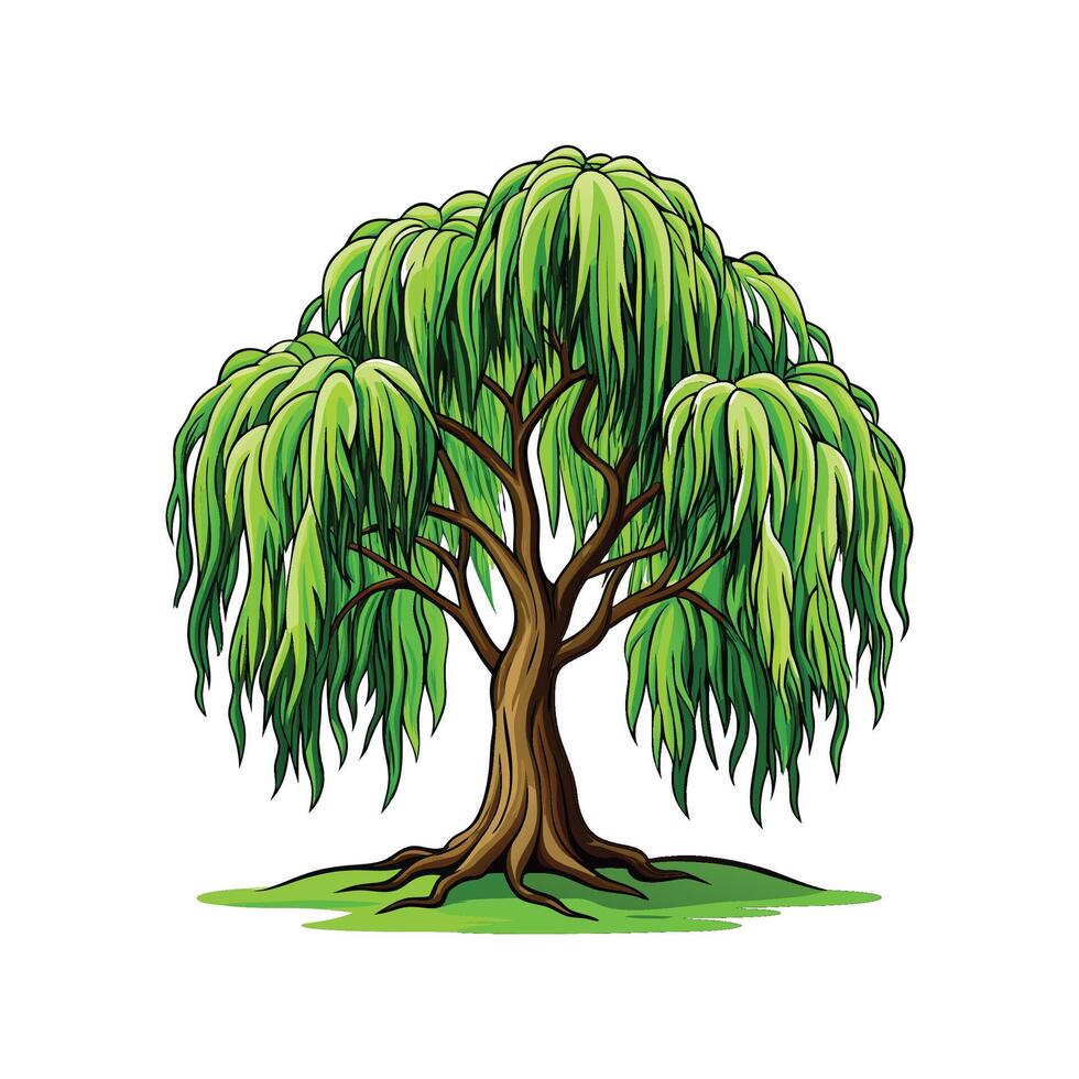 Realistic Willow Tree Bold Outline Design 2 vector