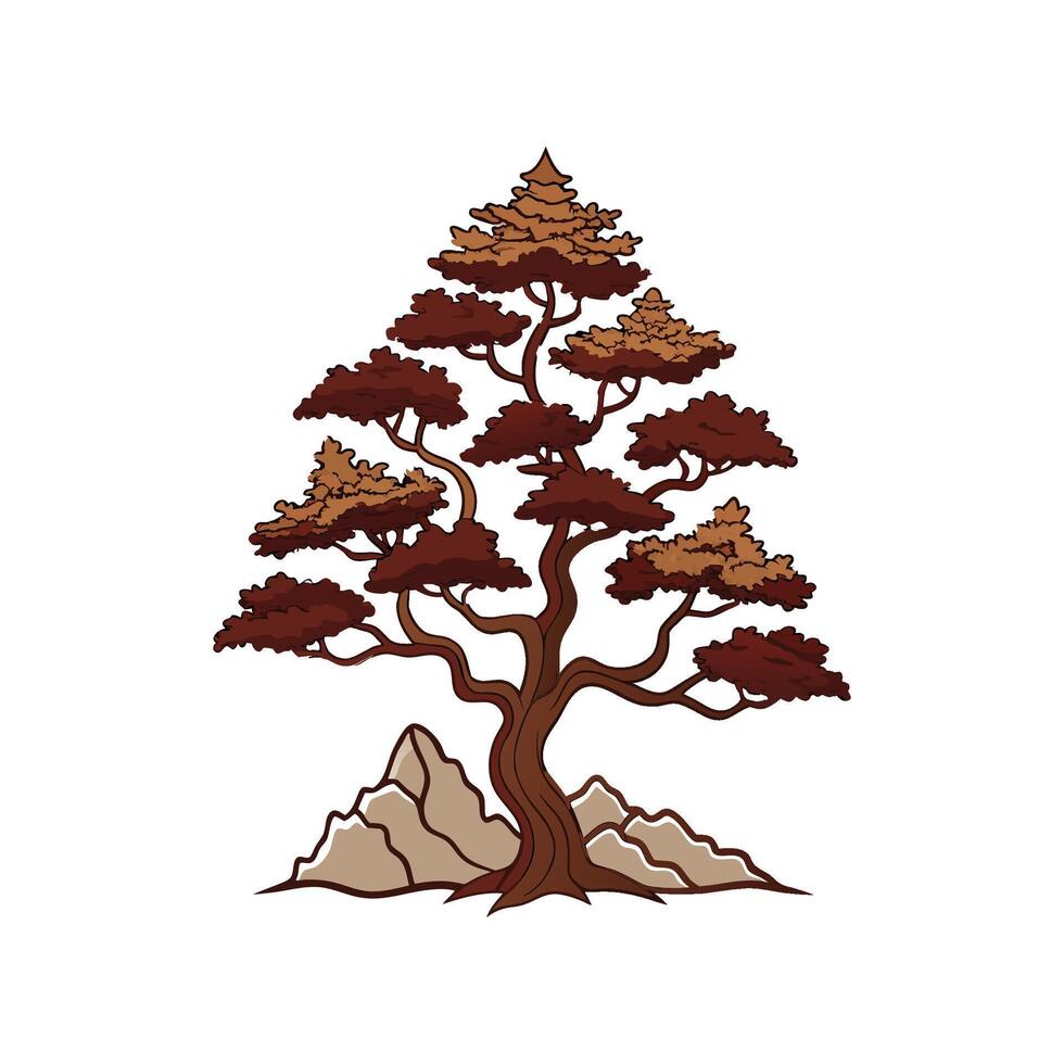 Distinct Rocky Mountain Juniper Tree Outline Art vector