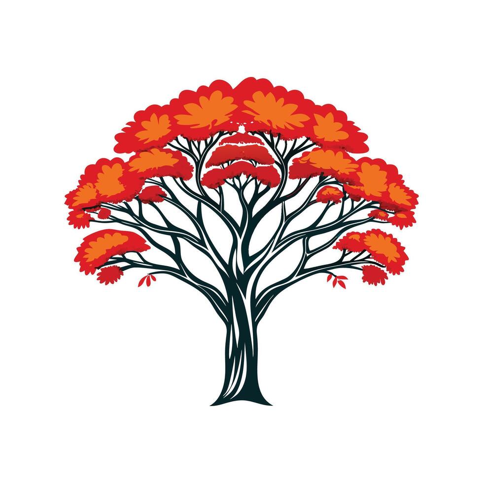 Realistic Royal Poinciana Tree Bold Outline Design 3 vector