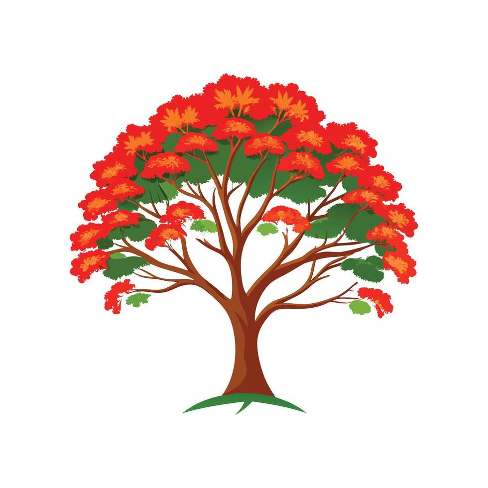 Distinct Royal Poinciana Tree Outline Art vector
