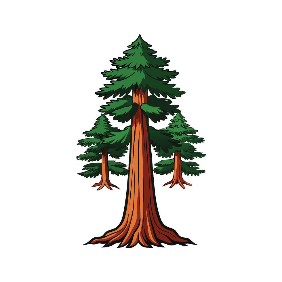 Distinct Sequoia Tree Outline Art vector