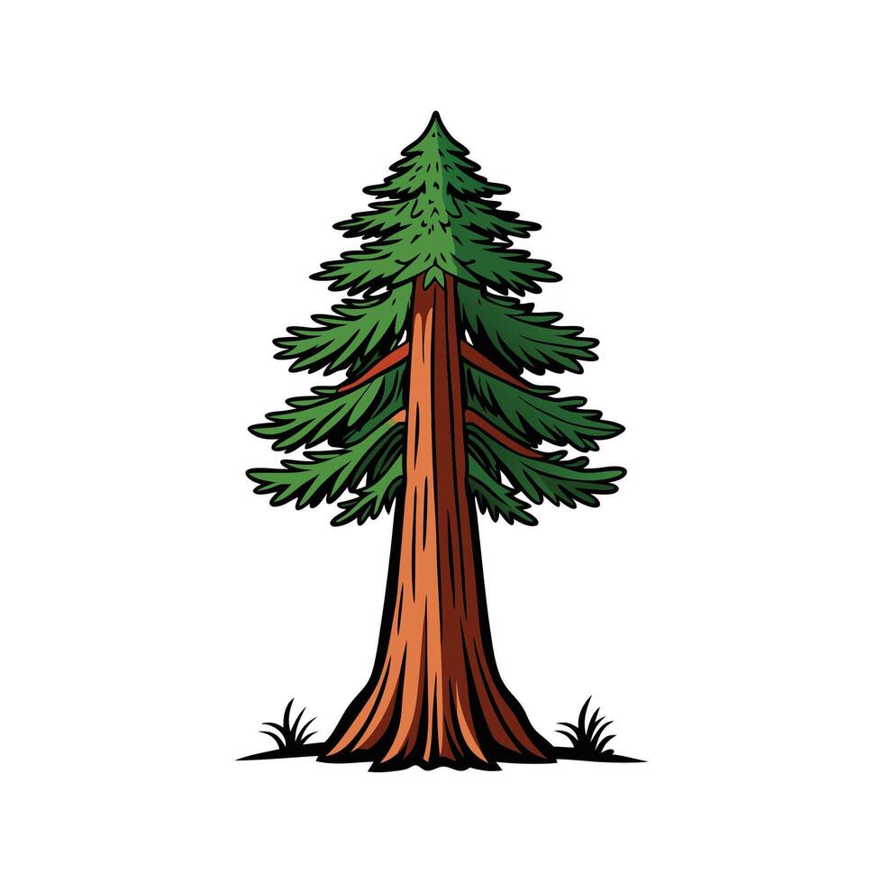 Realistic Sequoia Tree Bold Outline Design 2 vector