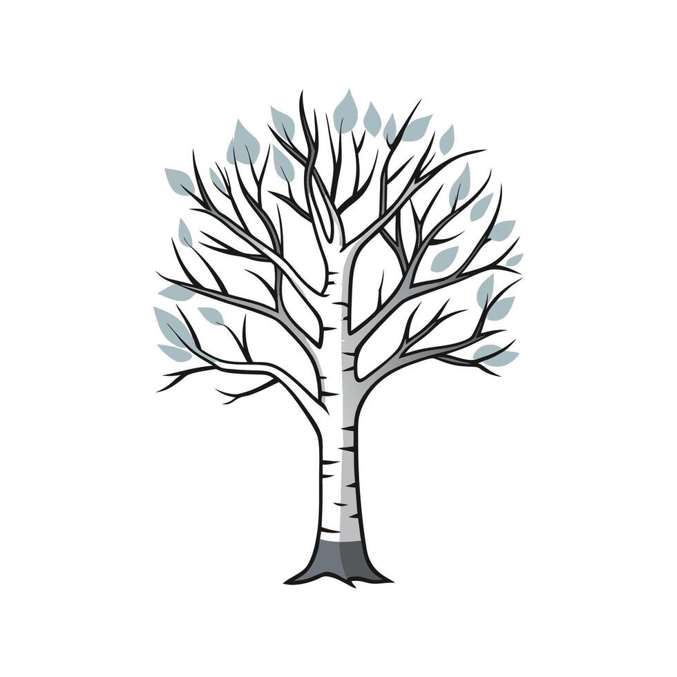 Realistic Silver Birch Tree Bold Outline Design 2. vector