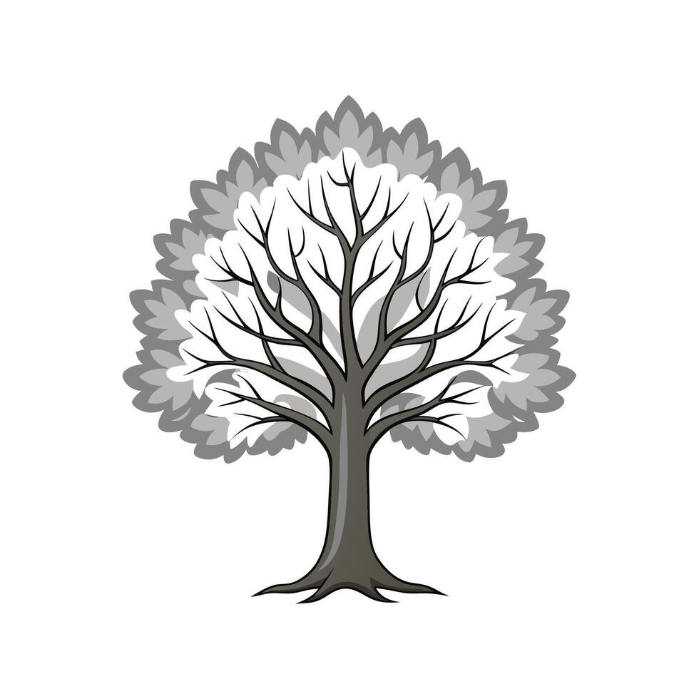 Realistic Silver Linden Tree Bold Outline Design 1 vector