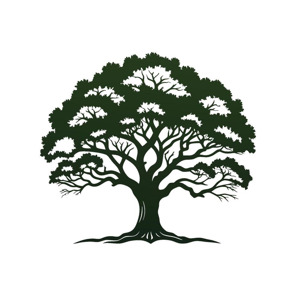 Realistic Southern Live Oak Tree Bold Outline Design 2. vector