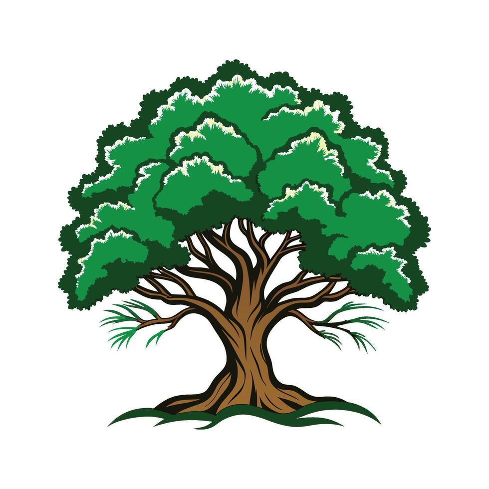 Realistic Southern Live Oak Tree Bold Outline Design vector