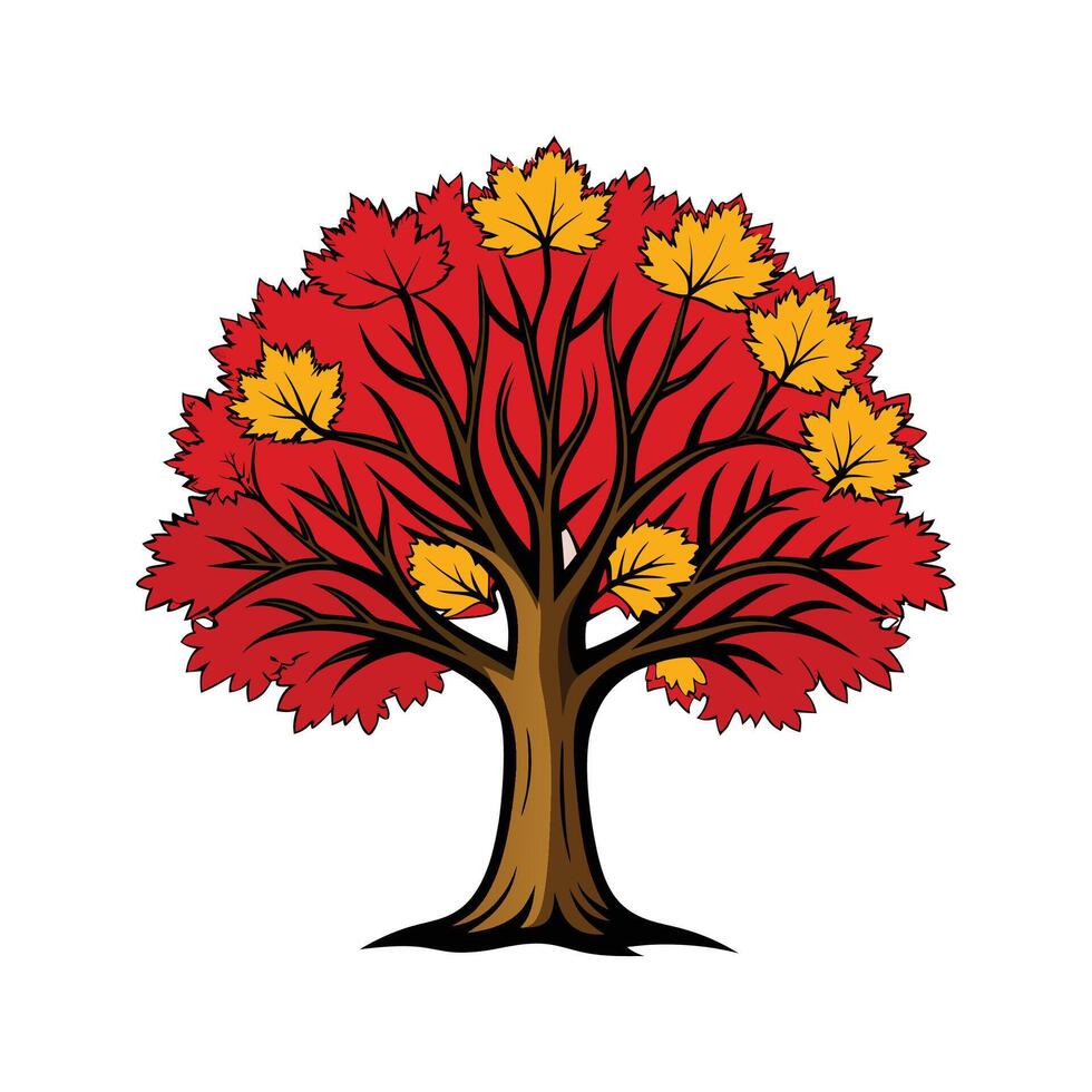 Realistic Southern Sugar Maple Tree Bold Outline Design 2 vector