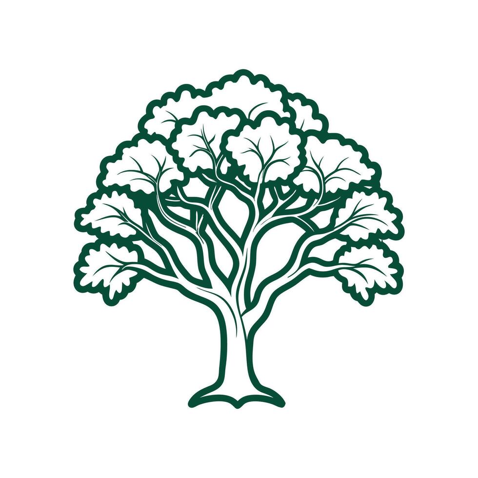 Realistic Texas Mountain Laurel Tree Bold Outline Design 2 vector
