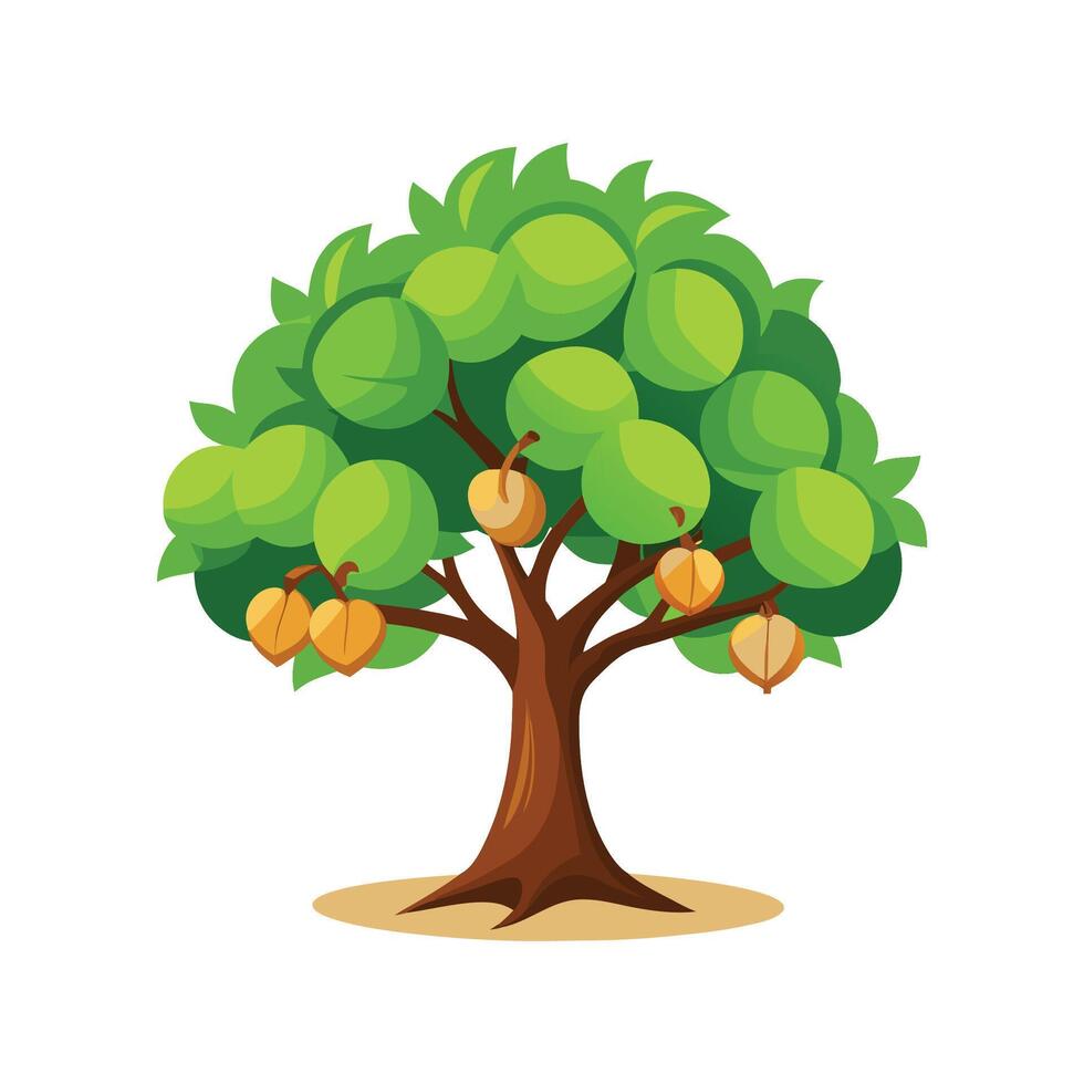 Realistic Walnut Tree Design 1 vector