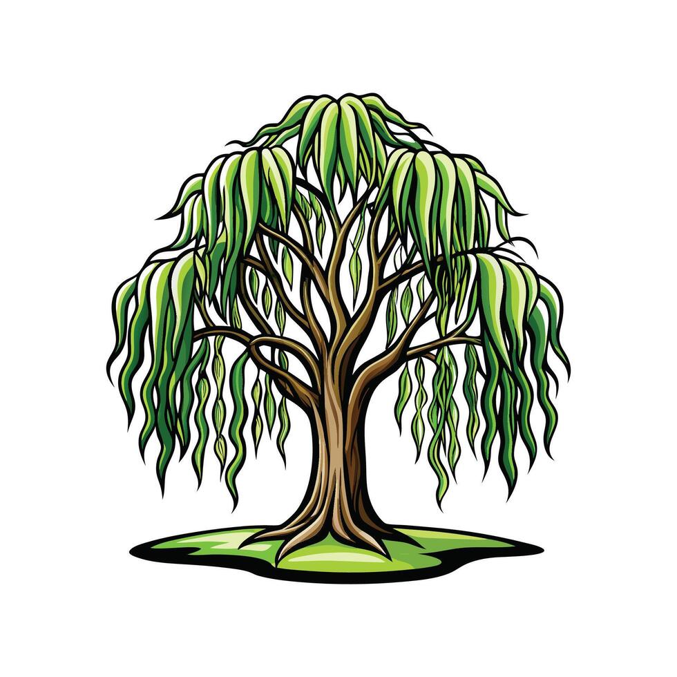 Realistic Weeping Willow Tree Bold Outline Design 3 vector