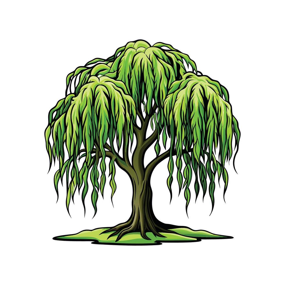 Realistic Weeping Willow Tree Bold Outline Design 1 vector