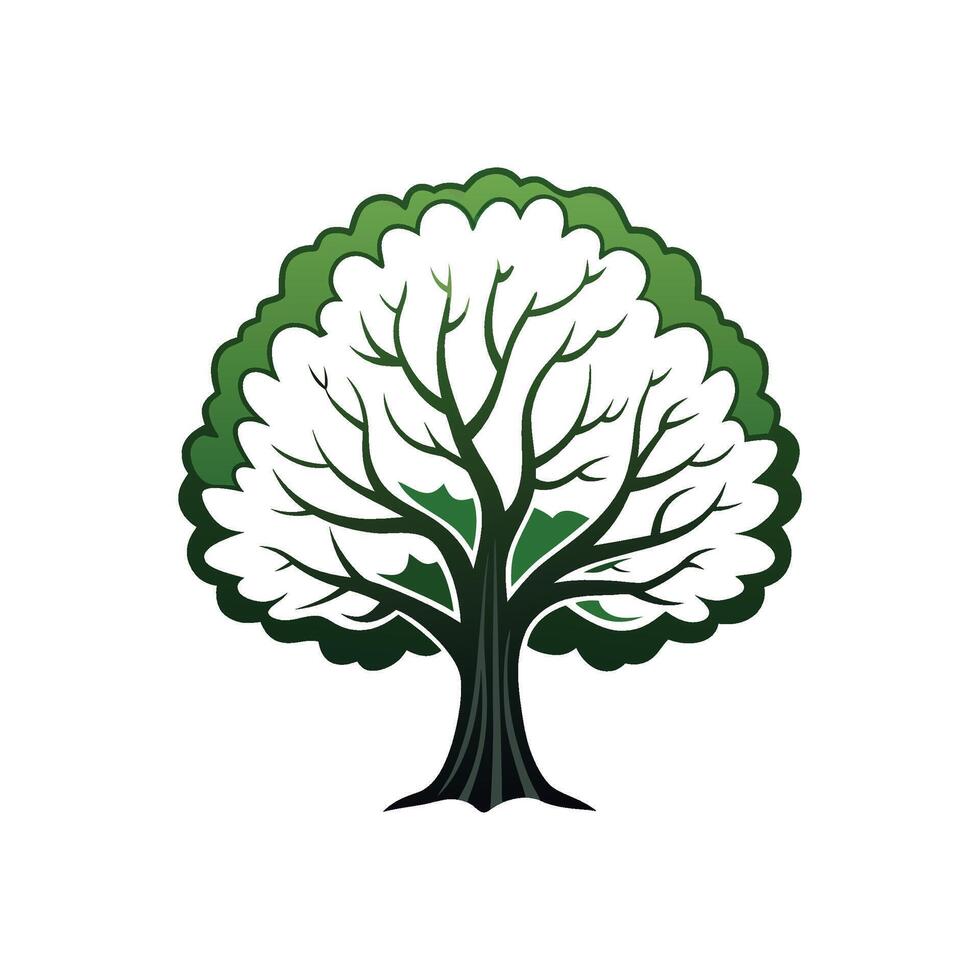 Realistic White Mulberry Tree Bold Outline Design 2 vector