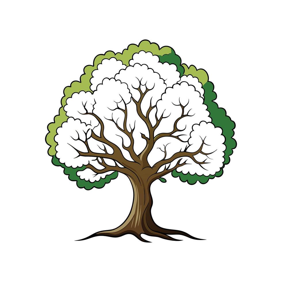 Realistic White Mulberry Tree Bold Outline Design 3 vector