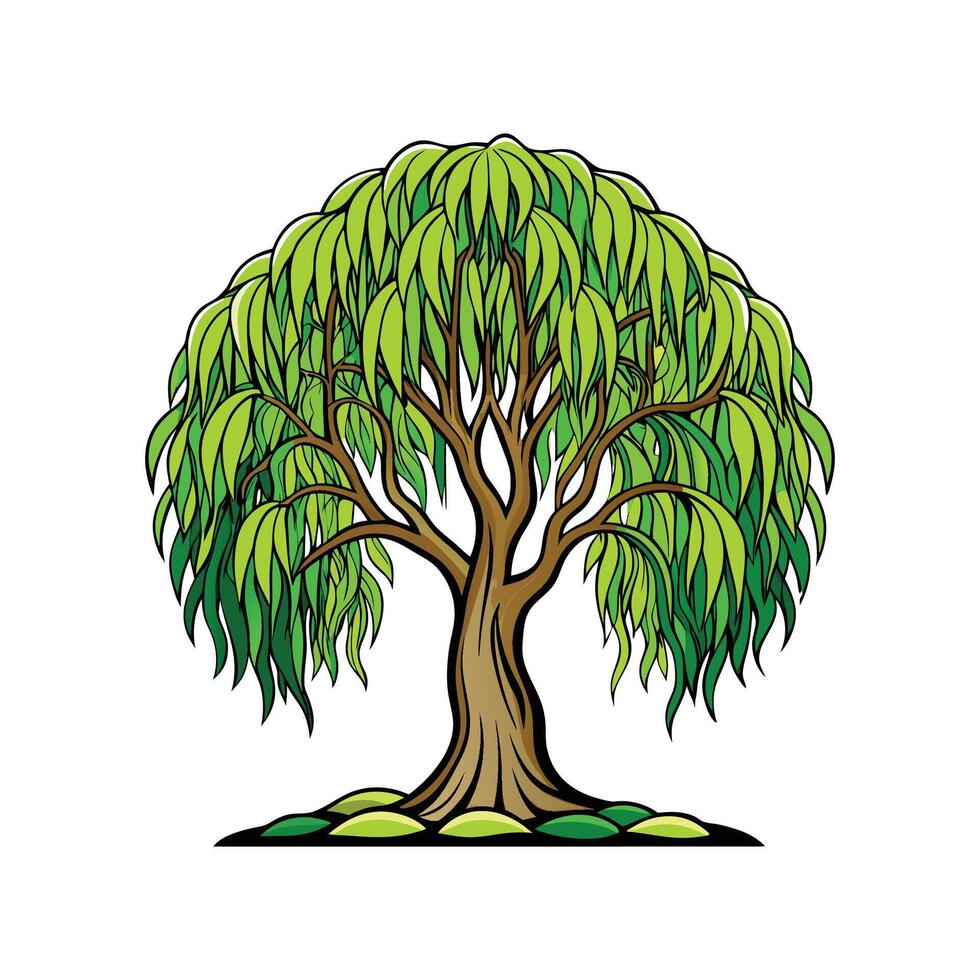 Realistic Willow Tree Bold Outline Design 2. vector