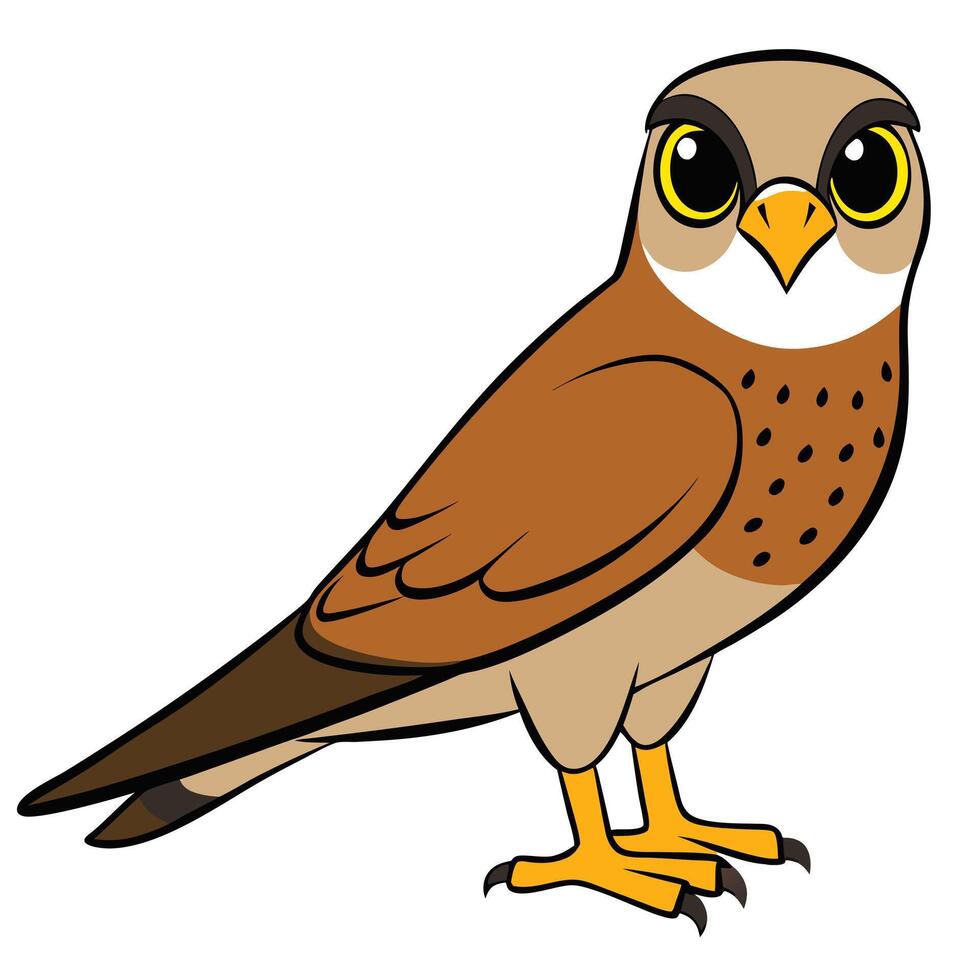 Colorful Tropical Bird Art for Nature Projects vector