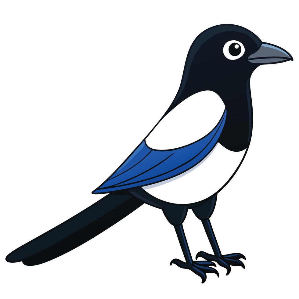 Magpie clip art vector
