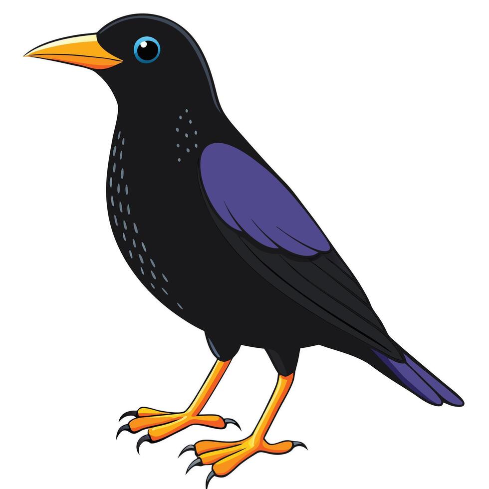 A cartoon black bird with purple beak and blue eyes vector