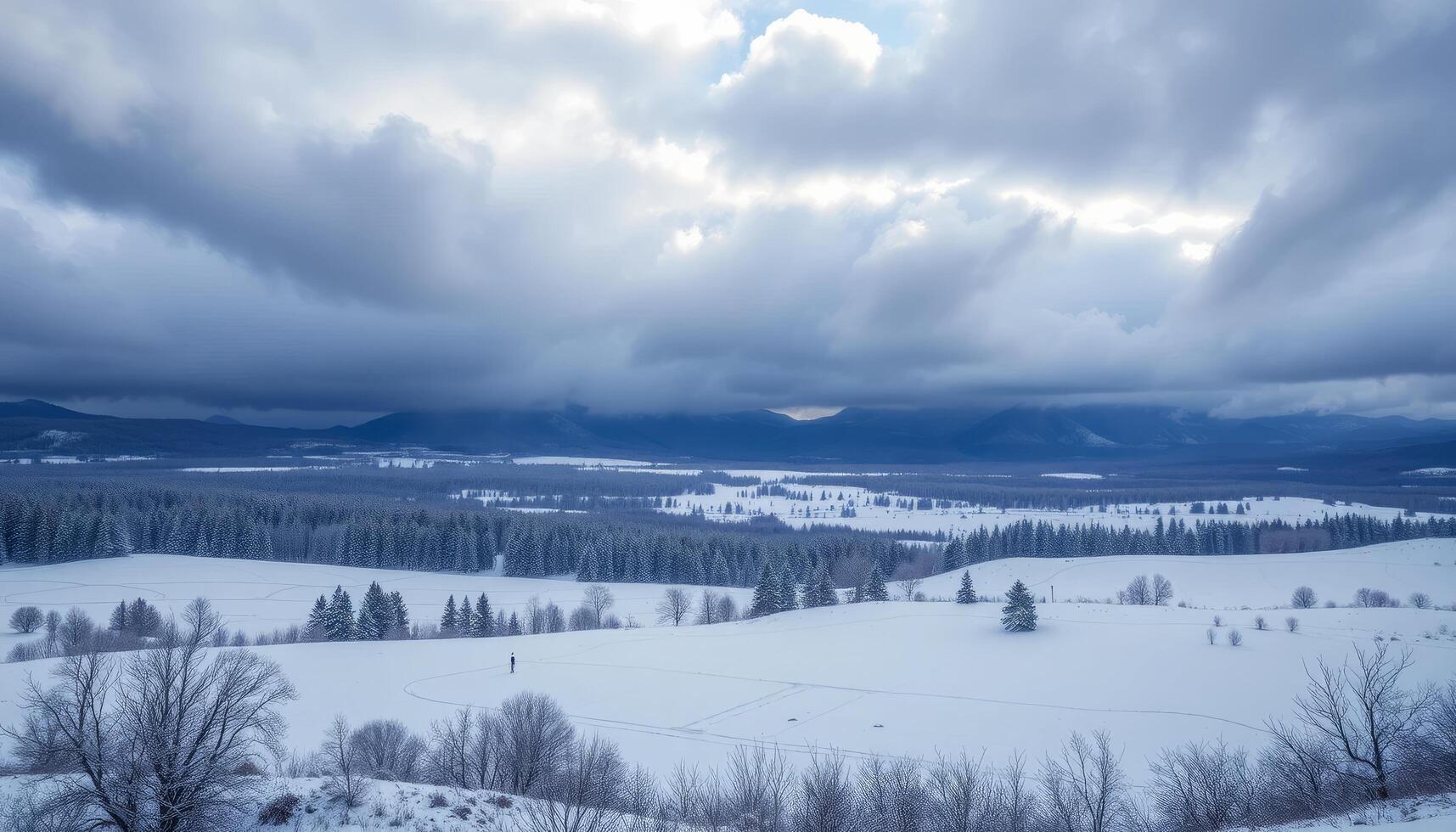 Snowy Fields Under a Dramatic Winter Sky photo