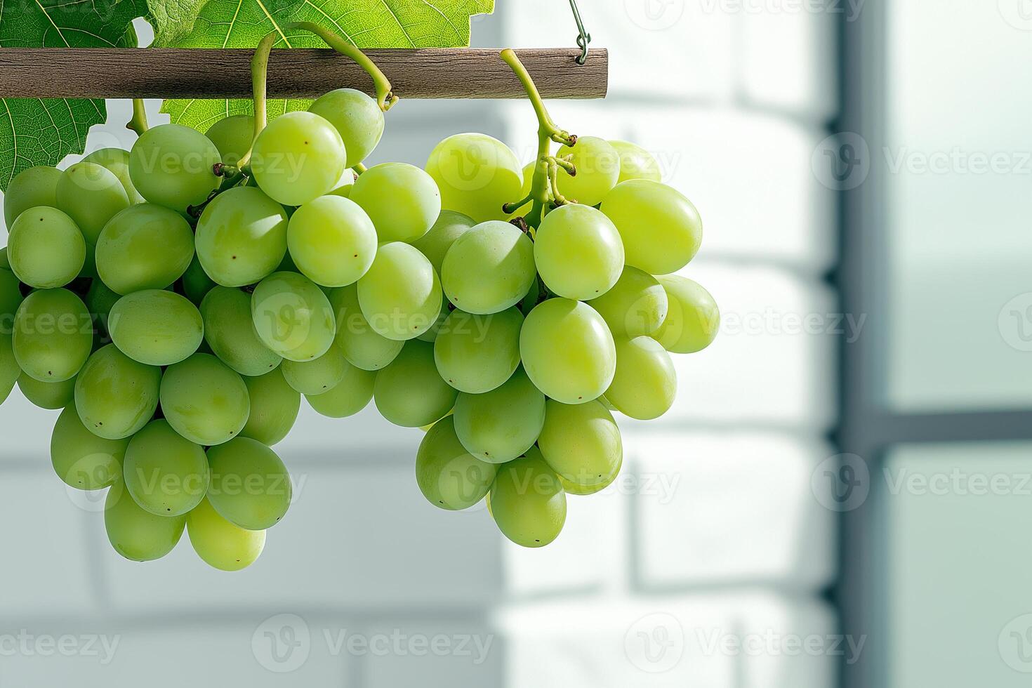 Fresh green grapes hanging from vine, showcasing their vibrant color and natural beauty against light background. Perfect for healthy eating and culinary uses photo