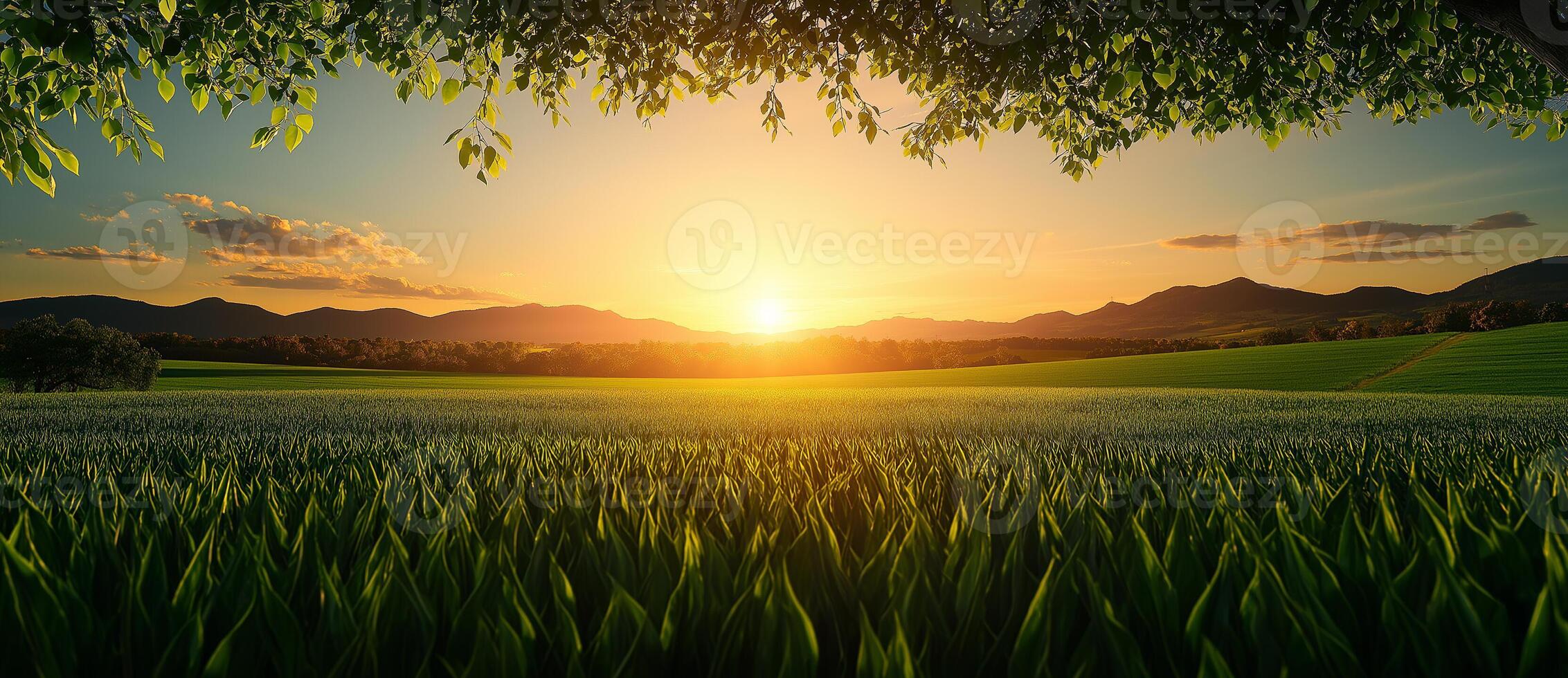 serene sunset over lush green field with distant mountains, creating peaceful atmosphere. vibrant colors of sky reflect beauty of nature photo
