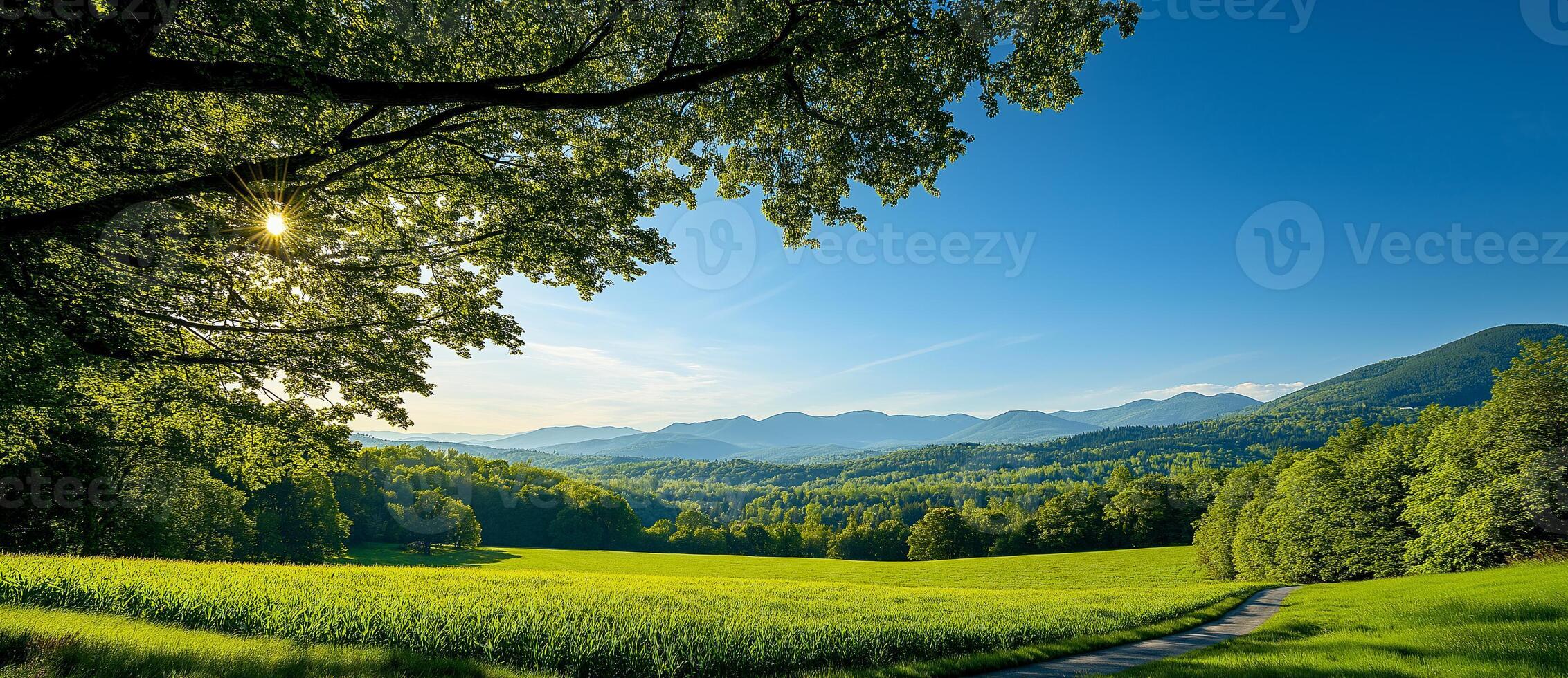 serene landscape featuring vibrant green field, lush trees, and distant mountains under clear blue sky. sunlight filters through leaves, creating peaceful atmosphere photo