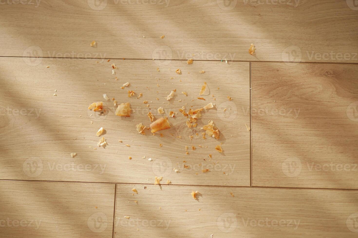 Crumbs scattered on wooden floor in bright sunlight photo
