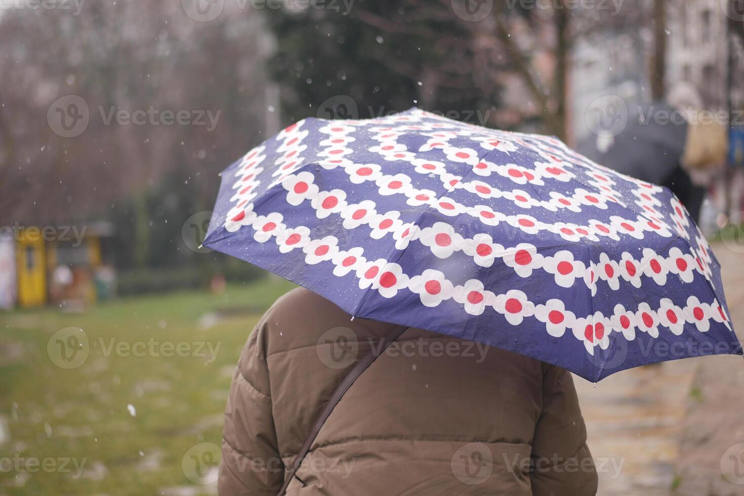 Person holding an umbrella while walking in light snow on a chilly day photo