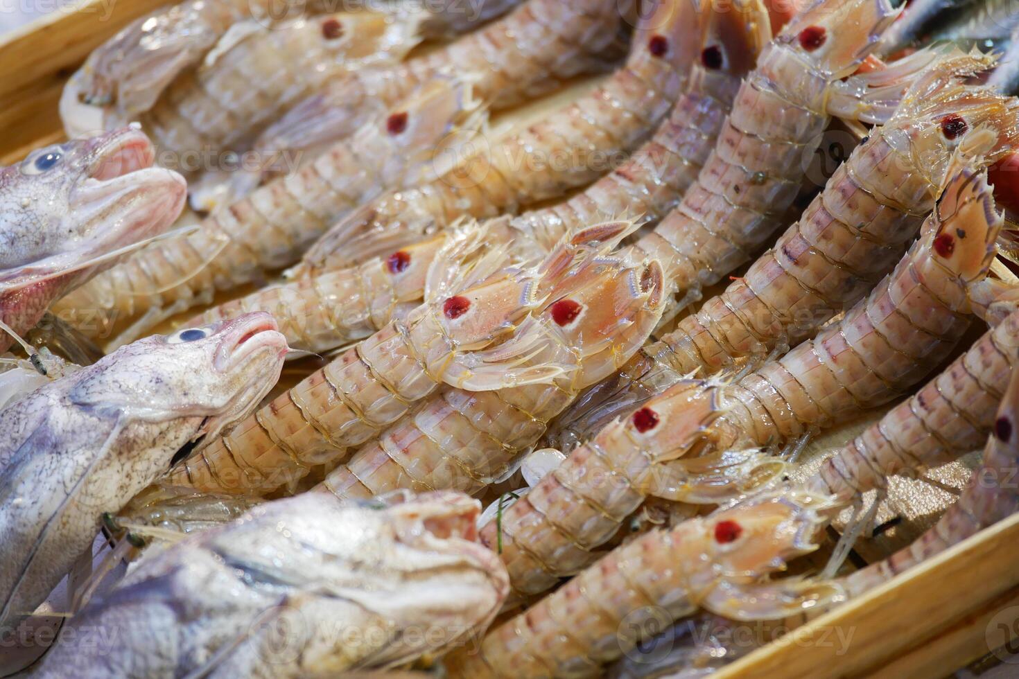 Fresh seafood display featuring shrimp and fish at a market photo