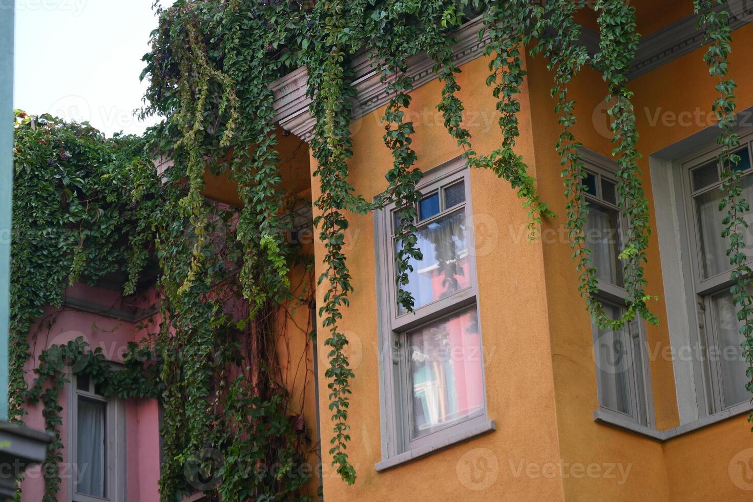 Colorful buildings covered in greenery create a unique urban landscape photo