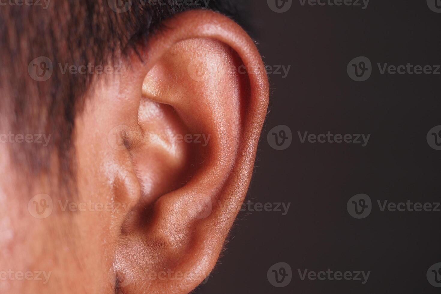Close-up view of human ear demonstrating skin texture and detail photo