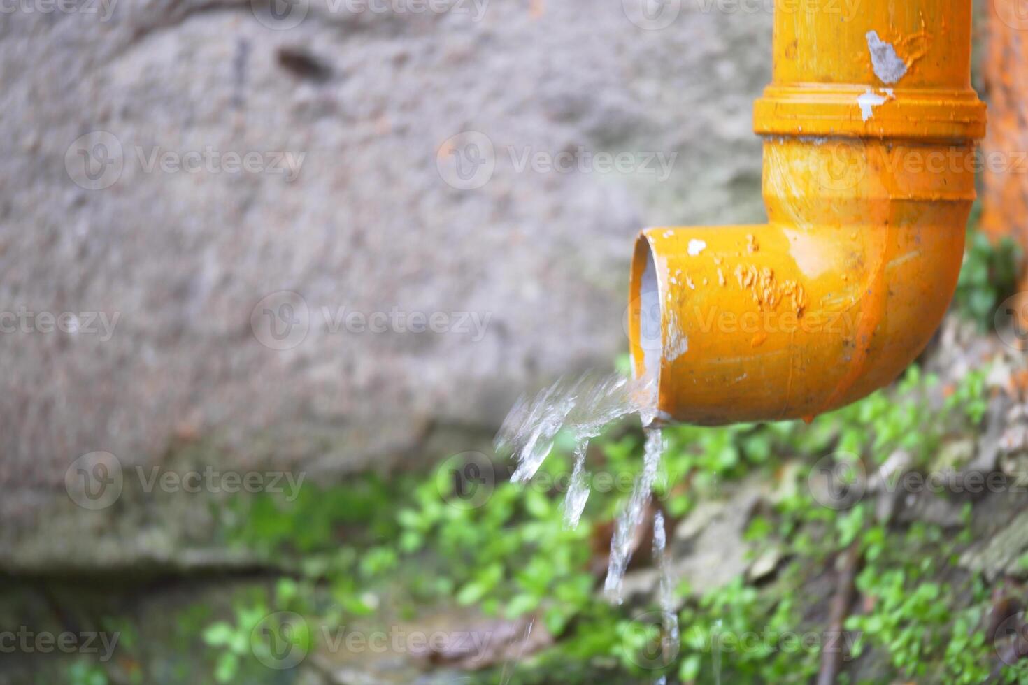 Water flows from yellow pipe near a stone wall covered in greenery photo