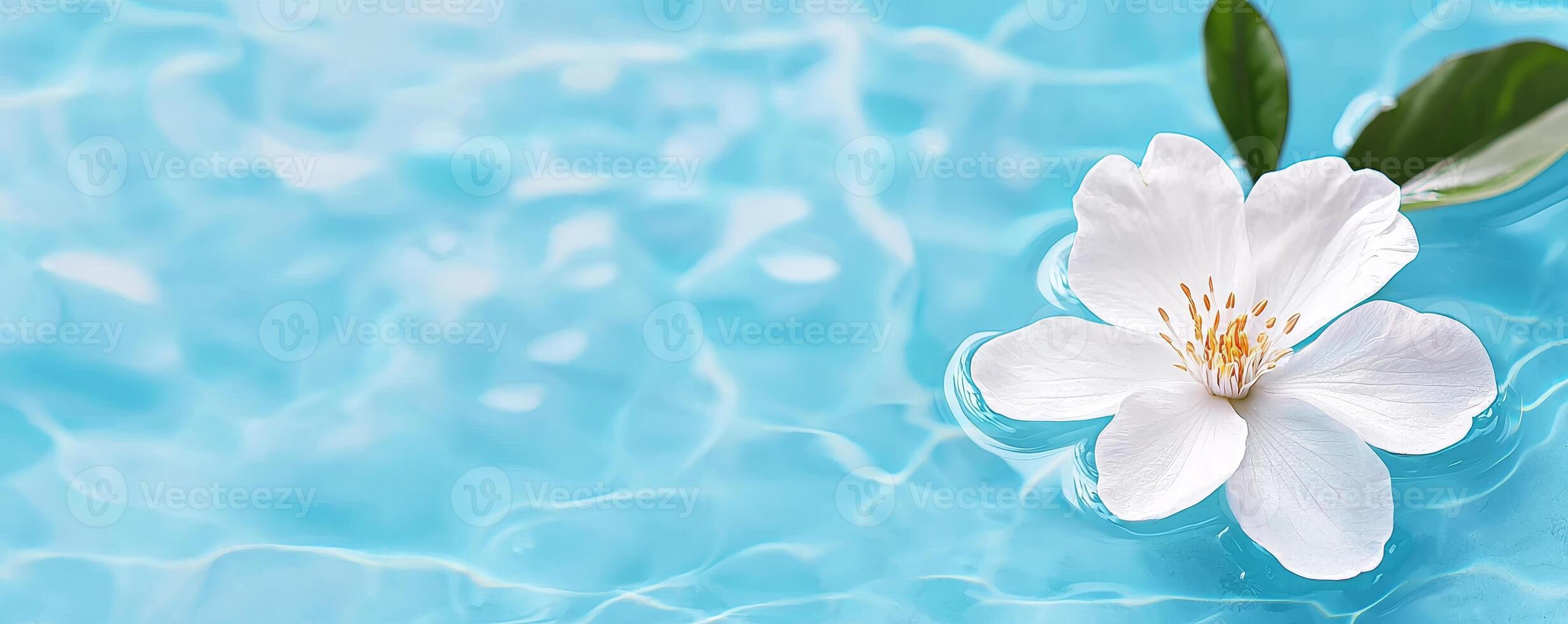 A serene image of a white flower floating on tranquil blue water, evoking calmness and natural beauty. photo