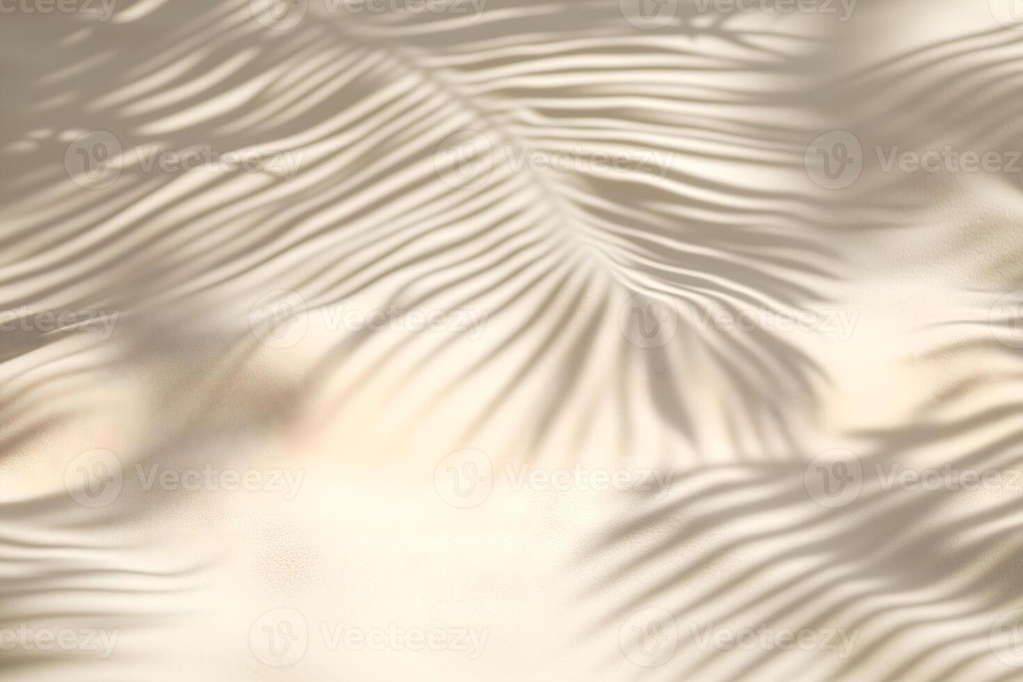 Palm leaves on a sandy beach photo
