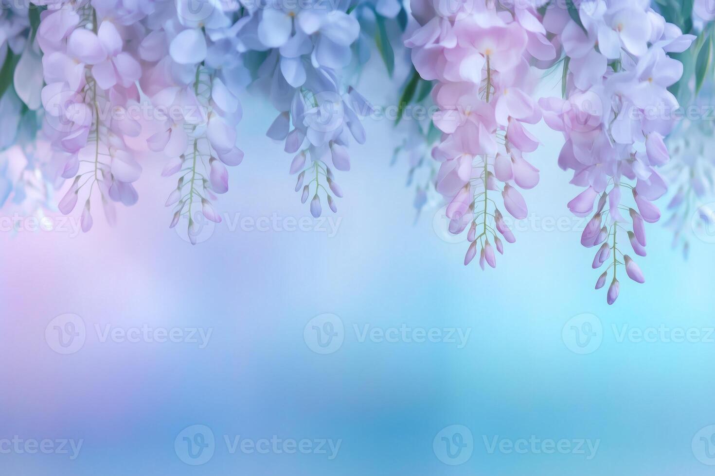 soft purple background with wisteria flowers photo