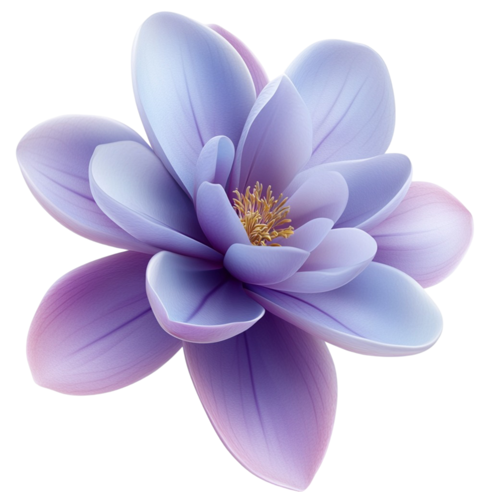 Purple Lotus Flower Blossom Beauty Nature isolate on transparency background png
