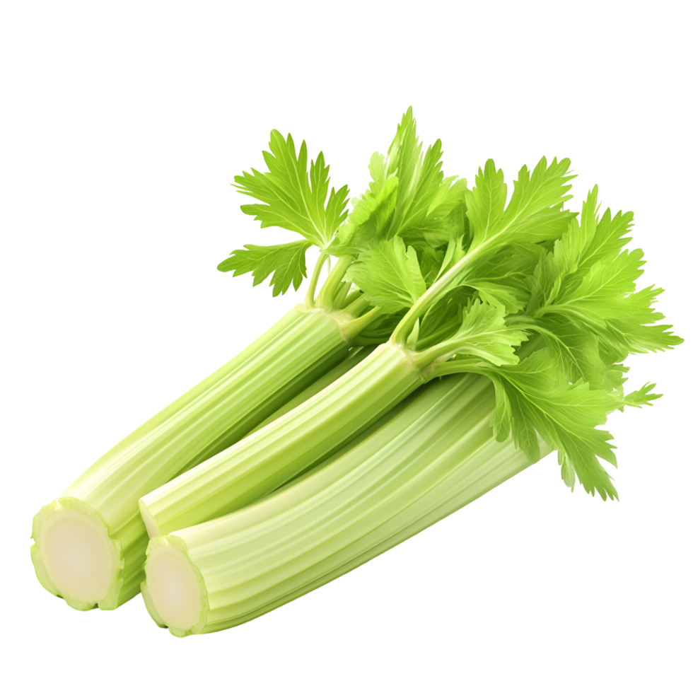 Crisp Fresh Celery Vegetable Isolated Transparent Background png
