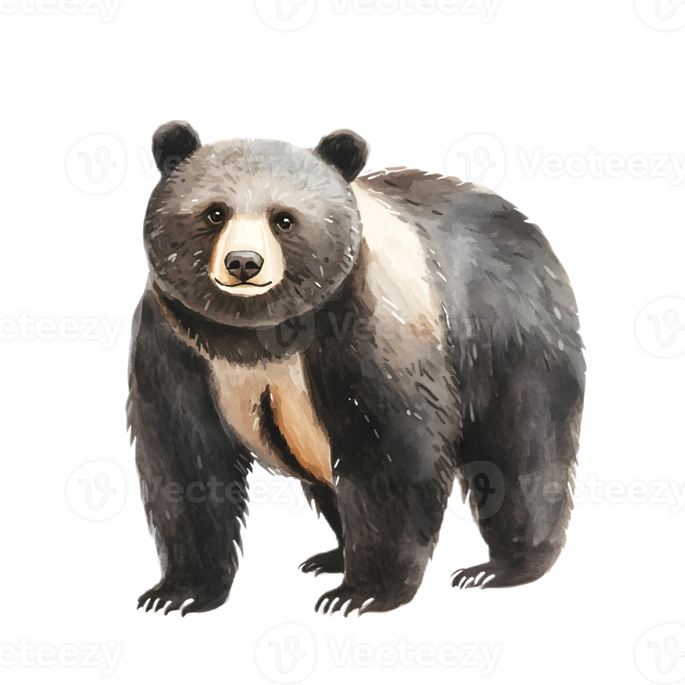 Majestic Black Bear Standing Tall in Wilderness Habitat png