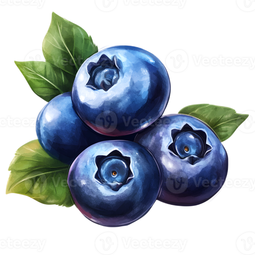 Close up view of fresh juicy blueberries with green leaves displaying their vibrant color and natural beauty png