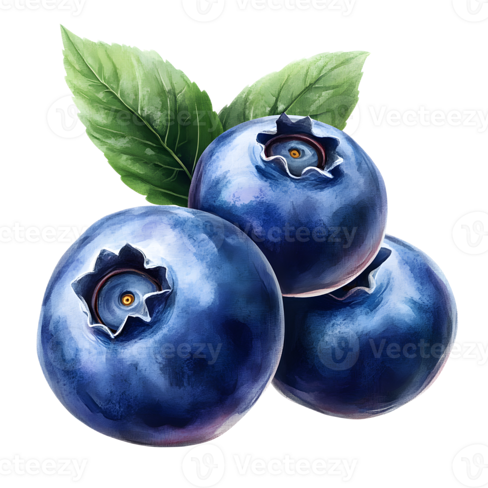 Ripe Blueberries with Leaves on White Background png