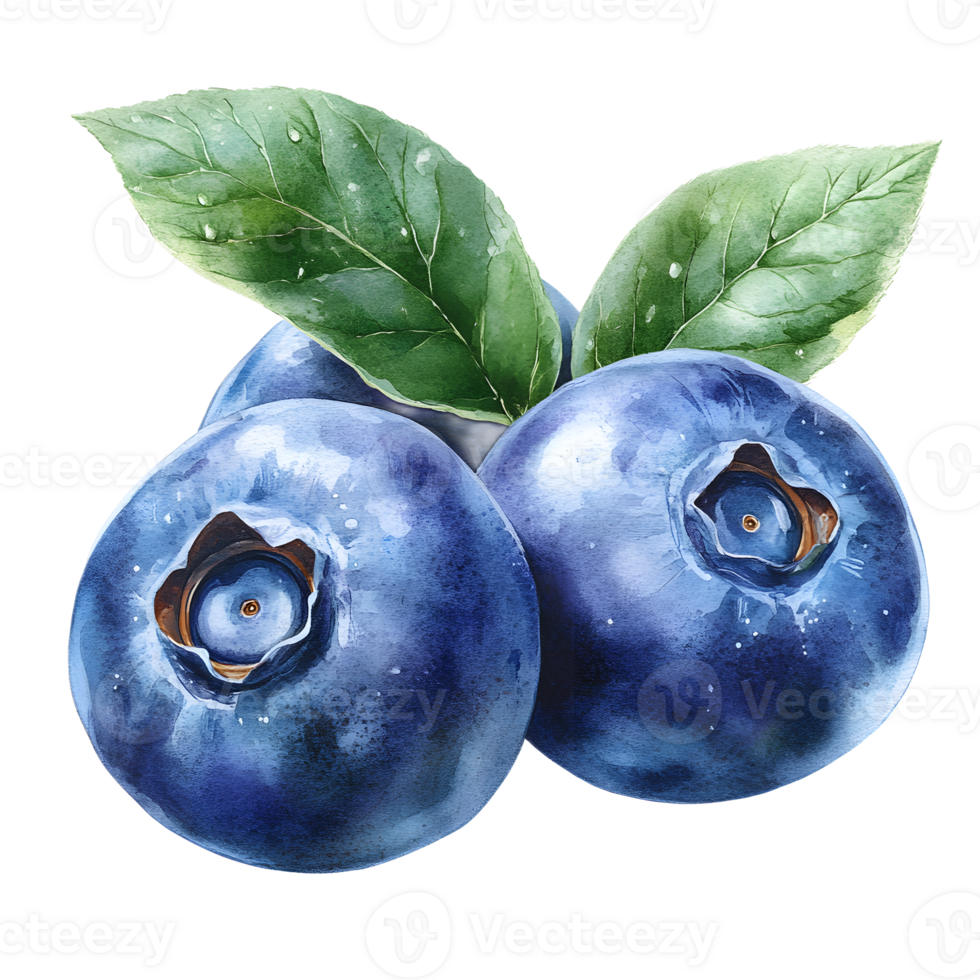 Closeup View of Fresh Ripe Blueberries with Green Leaves on White Background png