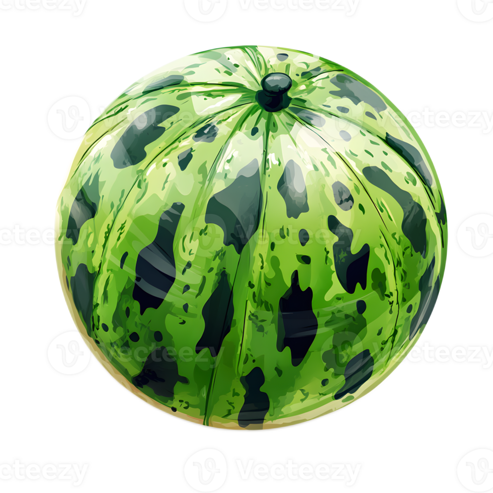 Vibrant Inflatable Ball in Summer Outdoor Setting png
