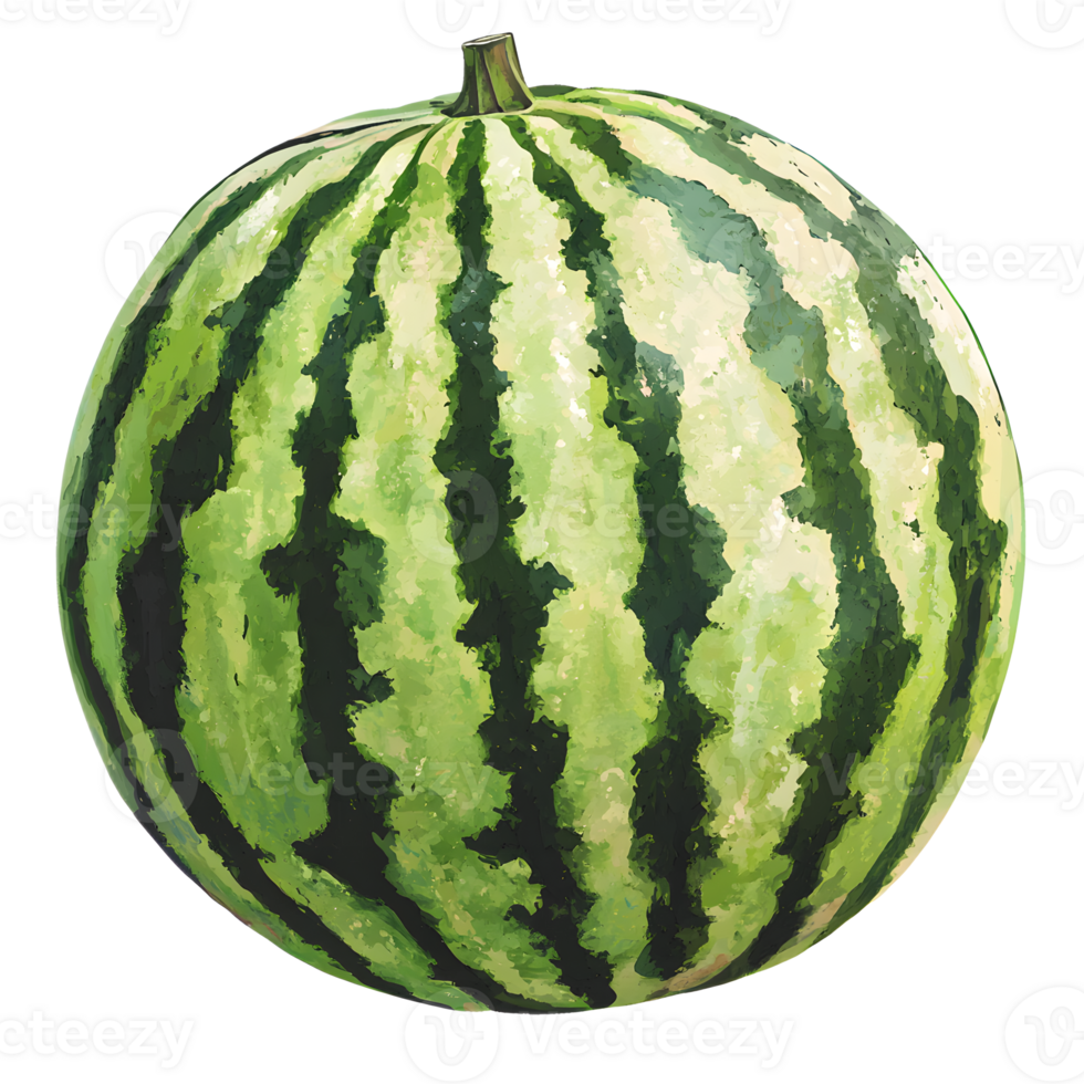 Vibrant Green and Red Striped Watermelon for Summer png