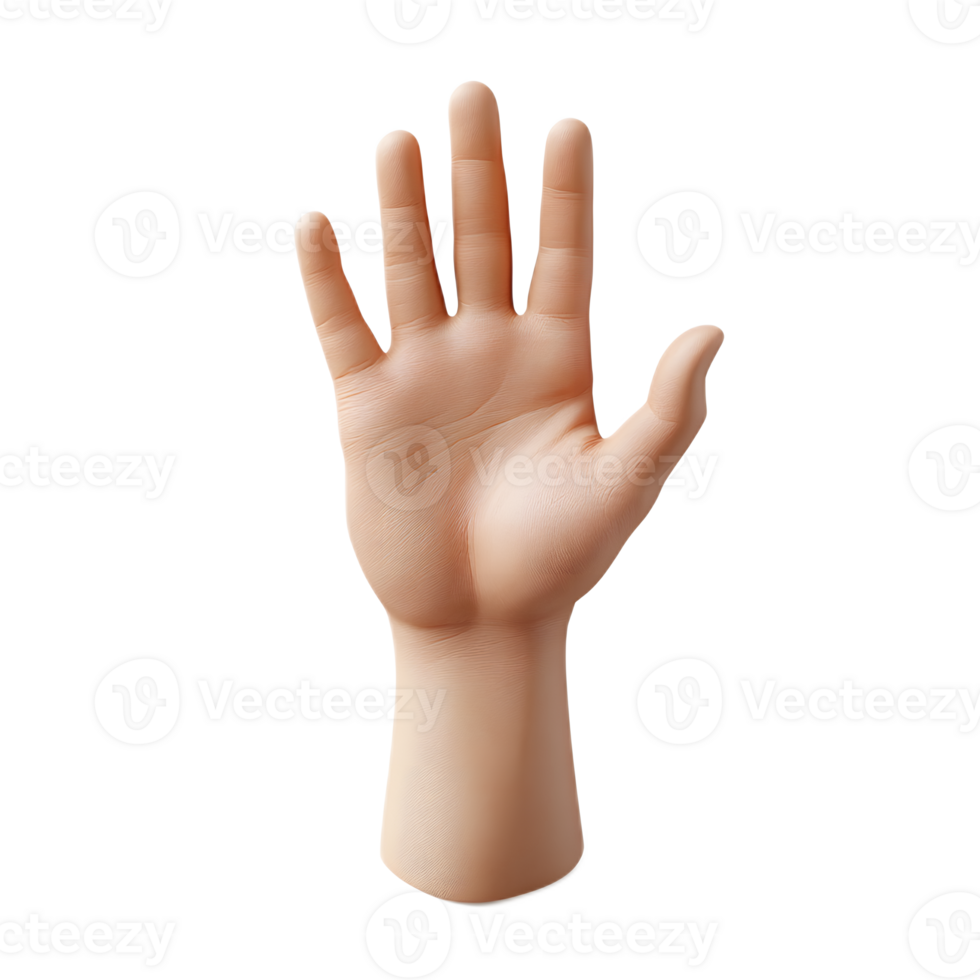 Transparent 3D Hand Gesture Anatomy on White Background png