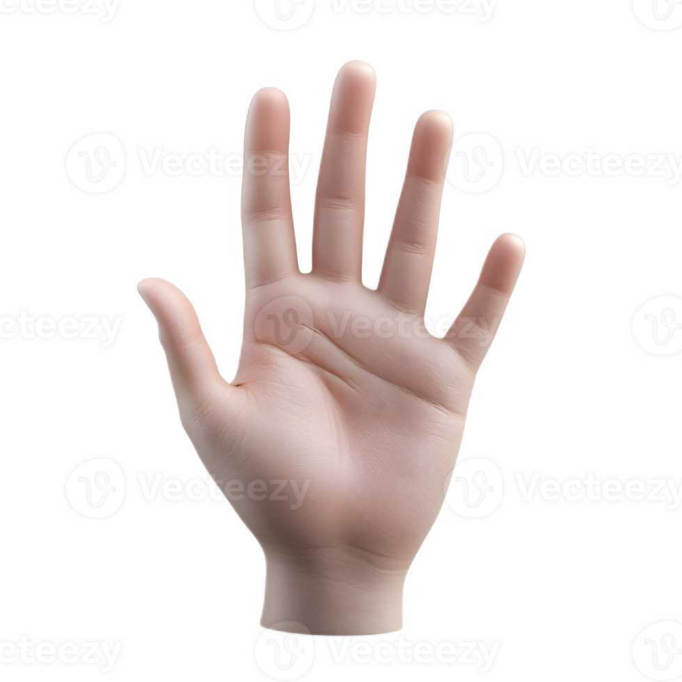 Transparent 3D Hand Rendering on Clean White Background png