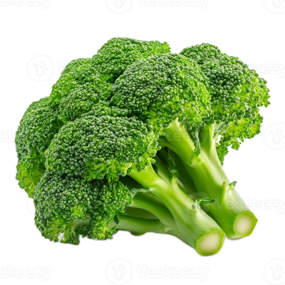 Closeup of Fresh Green Organic Broccoli Florets on White Background png