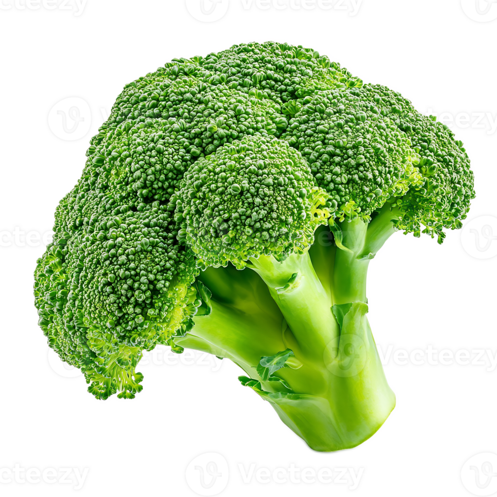 Closeup of Fresh and Vibrant Organically Grown Broccoli with Florets and Stems png