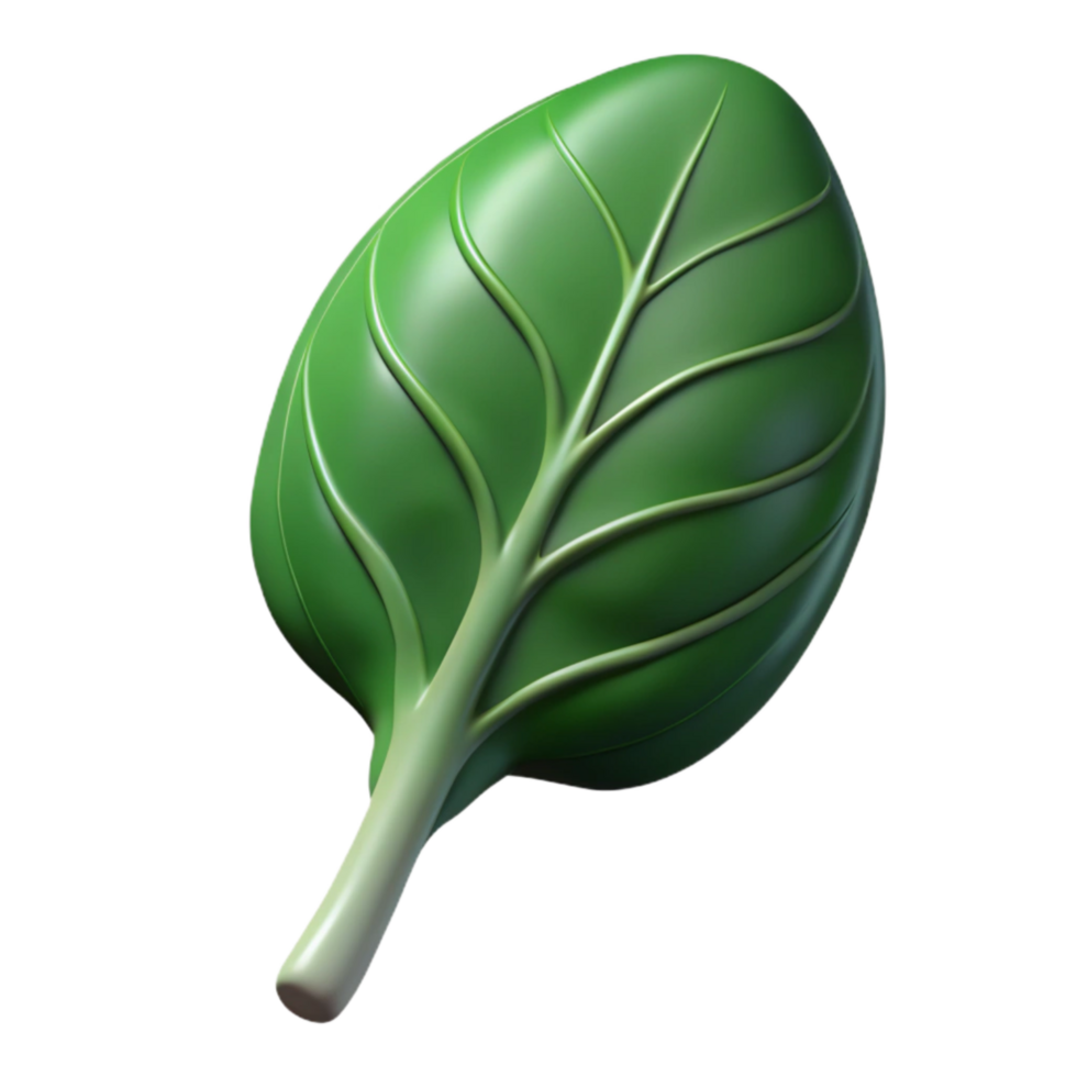 vibrant traditional Spinach Leaf Isolated with Dark Green Color professional png