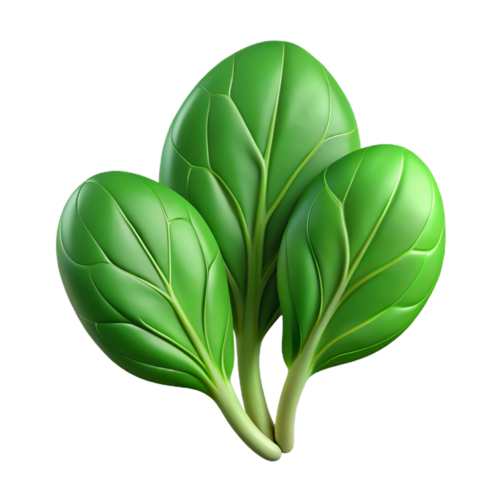beautiful modern Spinach Leaves Fresh Green Isolated genuine png