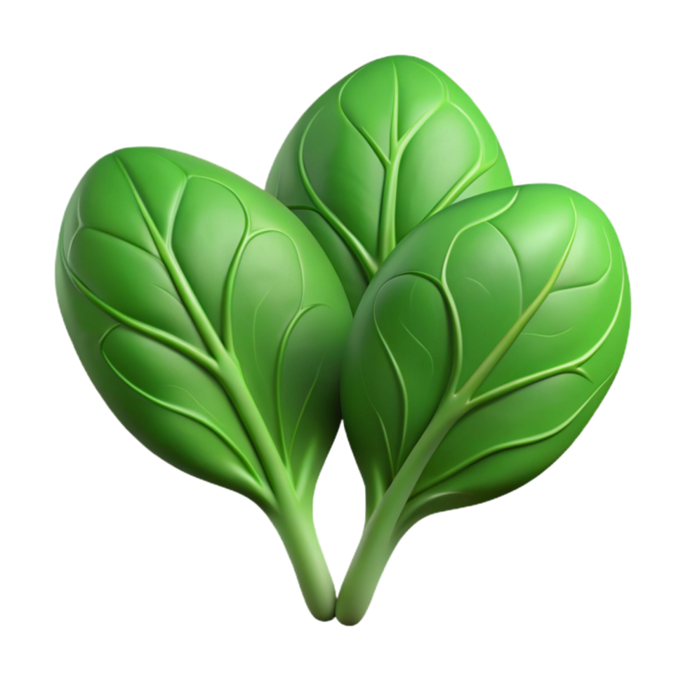 wonderful rustic Spinach Leaves Fresh Green Isolated genuine png